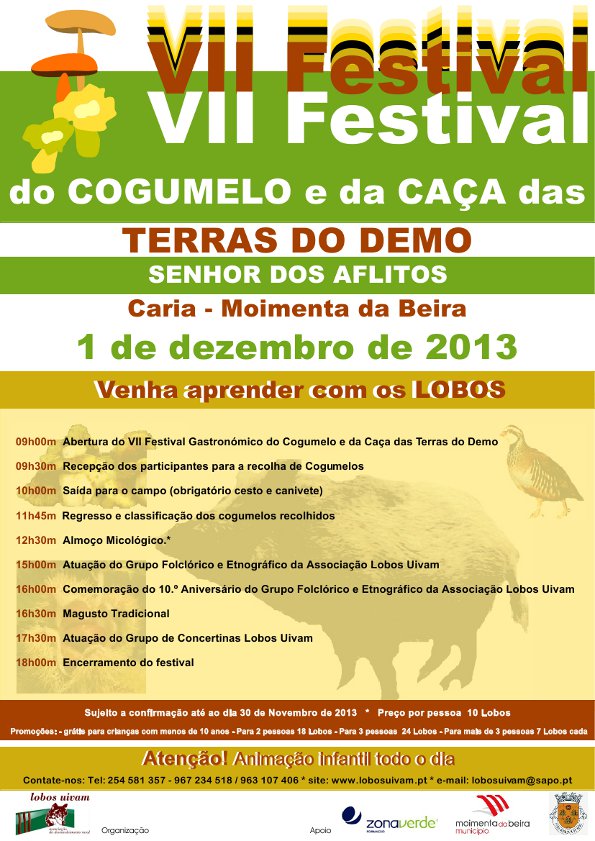 festival_dos_cogumelos_Moimenta_da_beira