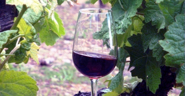 XII  Feira da Vinha e do Vinho em Amareleja
